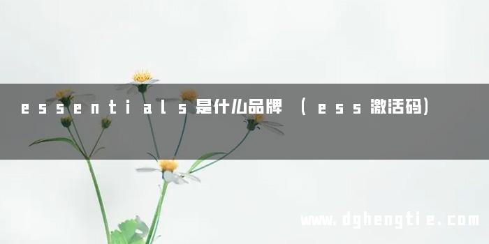 essentials是什么品牌 (ess激活码)